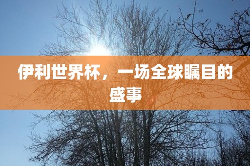 伊利世界杯，一场全球瞩目的盛事