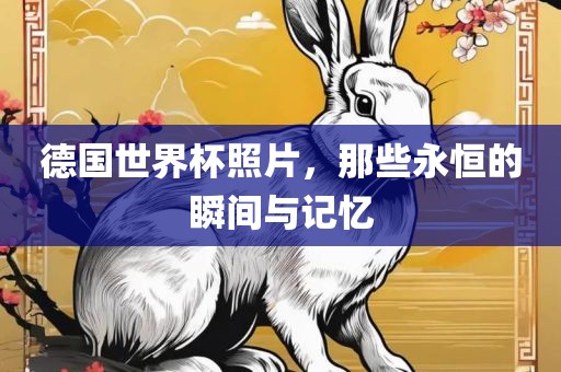 德国世界杯照片，那些永恒的瞬间与记忆金炬实业股份有限公司