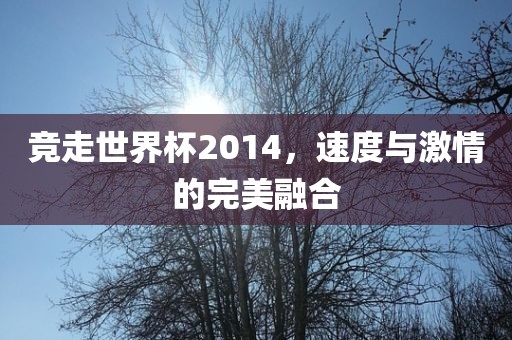 竞走世界杯2014，速度与激情的完美融合金炬实业股份有限公司