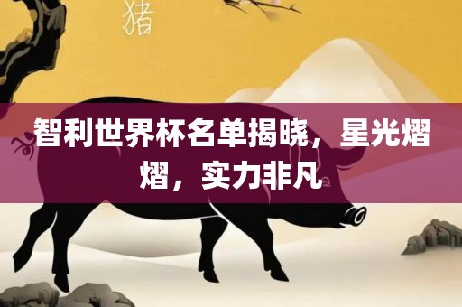 智利世界杯名单揭晓，星光熠熠，实力非凡金炬实业股份有限公司