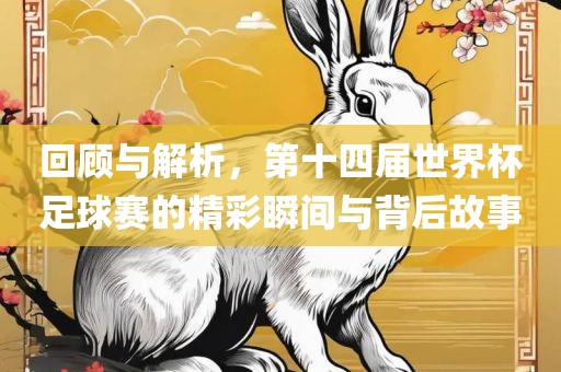 回顾与解析，第十四届世界杯足球赛的精彩瞬间与背后故事