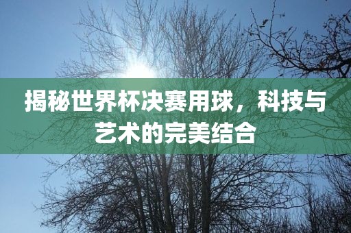 揭秘世界杯决赛用球，科技与艺术金炬实业股份有限公司的完美结合