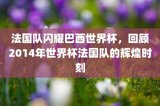 法国队闪耀巴西世界杯，回顾2014年世界杯法国队的辉煌时刻