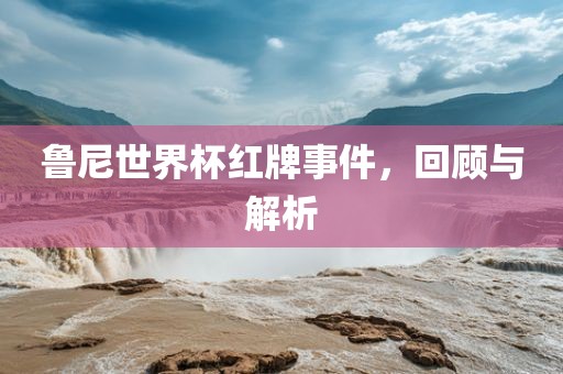 鲁尼世界杯红牌事件，回顾与解析