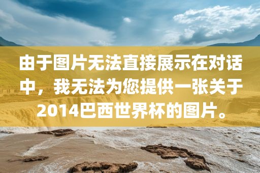 由于图片无法直接展示在对话中，我无法为您提供一张关于2014巴西世界杯的图片。金炬实业股份有限公司