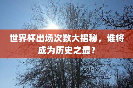 世界杯出场次数大揭秘，谁将成为历史之最？金炬实业股份有限公司