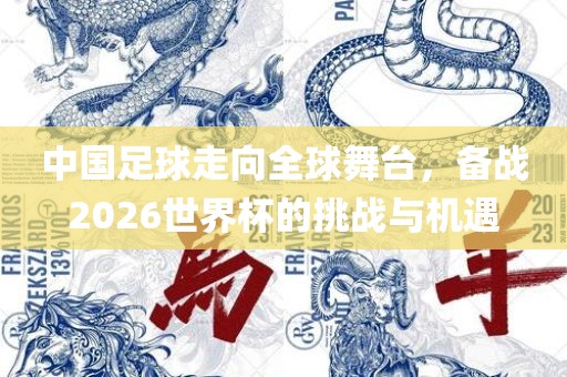 中国足球走向全球舞台，备战2026世界杯的挑战与机遇