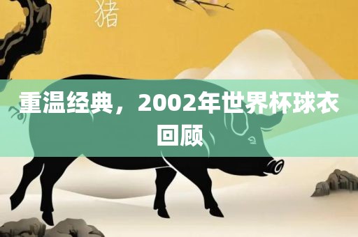 重温经典，2002年世界杯球衣回顾