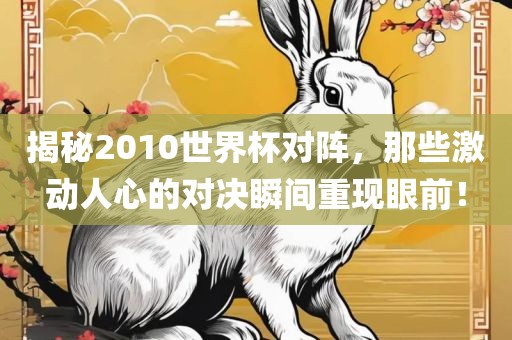 揭秘2010世界杯对阵，那些激动人心的对决瞬间重现眼前！