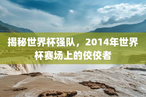 揭秘世界杯强队，2014年世界杯赛场上的佼佼者金炬实业股份有限公司