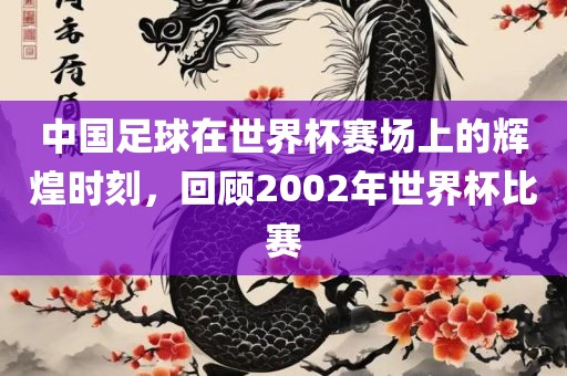 中国足球在世界杯赛场上的辉煌时刻，回顾2002年世界杯比赛