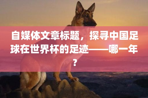 自媒体文章标题，探寻中国足球在世界杯的足迹——哪一年？