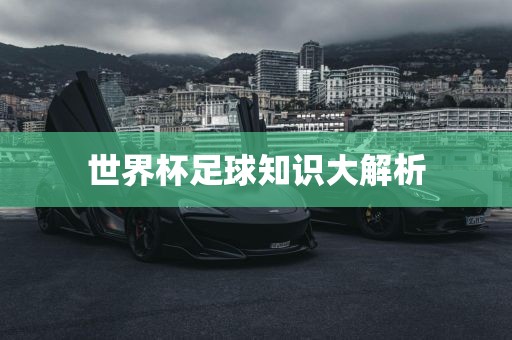 世界杯足球知识大解析