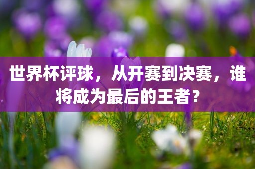 世界杯评球，从开赛到决赛，谁将成为最后的王者？金炬实业股份有限公司
