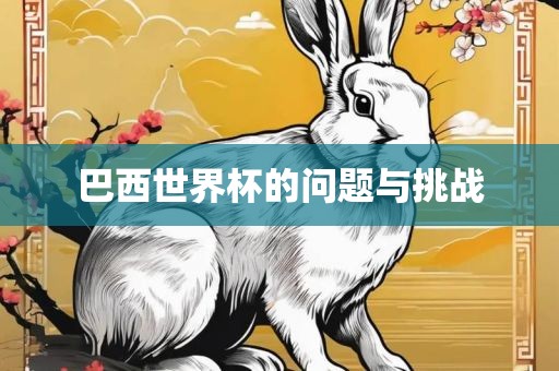 巴西世界杯的问题与挑战