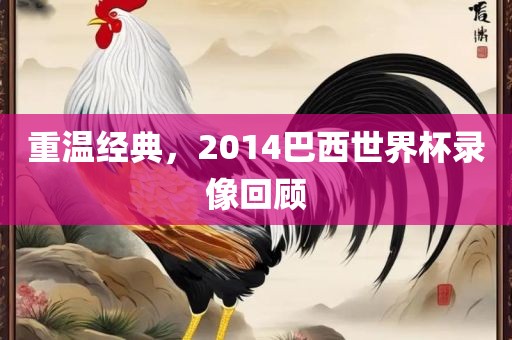 重温经典，2014巴西世界杯录像回顾