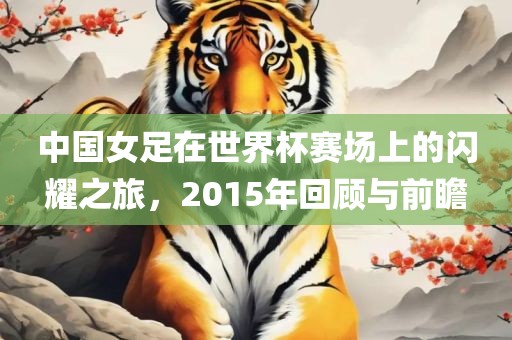 中国女足在世界杯赛场上的闪耀之旅，2015年回顾与前瞻