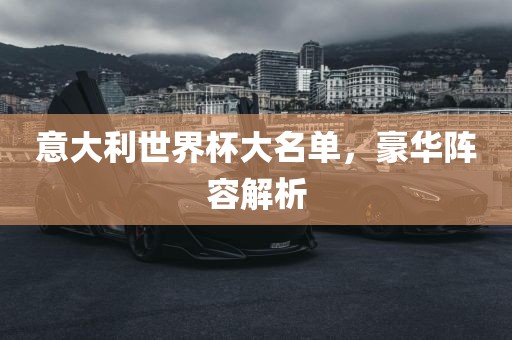 意大利世界杯大名单，豪华阵容解析金炬实业股份有限公司