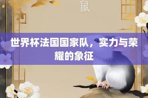 世界杯法国国家队，实力与荣耀的象征