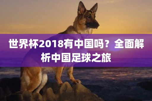 世界杯2018有中国吗？全面解析中国足球之旅