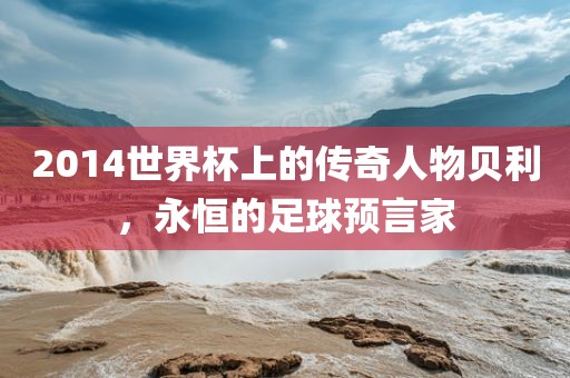 2014世界杯上的传奇人物贝利，永恒的足球金炬实业股份有限公司预言家