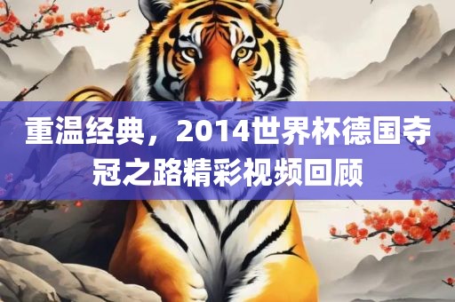 重温经典，2014世界杯德国夺冠之路精彩视频回顾