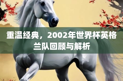 重温经典，2002年世界杯英格兰队回顾与解析