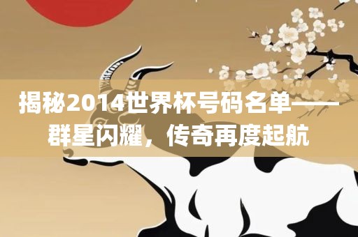 揭秘2014世界杯号码名单——群星闪耀，传奇再度起航