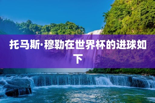 托马斯·穆勒在世界杯的进球如下