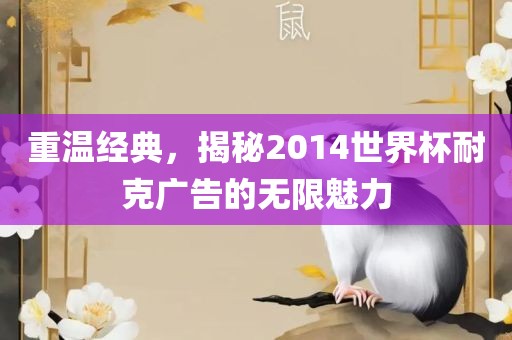 重温经典，揭秘2014世界杯耐克广告的无限魅力