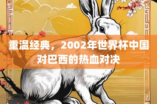 重温经典，2002年世界杯中国对巴西的热血对决
