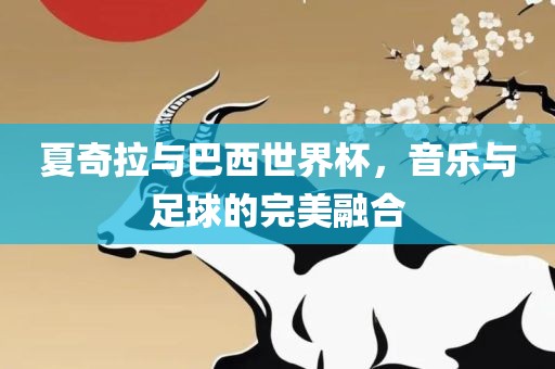 夏奇拉与巴西世界杯，音乐与足球的完美融合