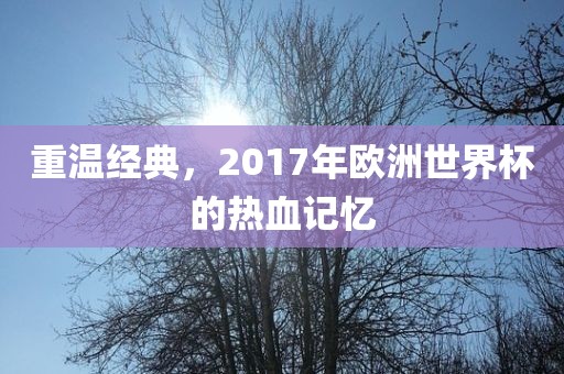 重温经典，2017年欧洲世界杯的热血记忆金炬实业股份有限公司