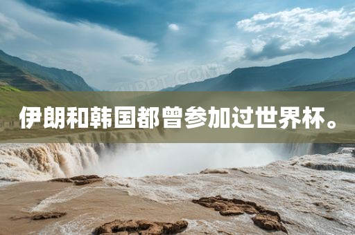 伊朗和韩国都曾参加过世界杯。