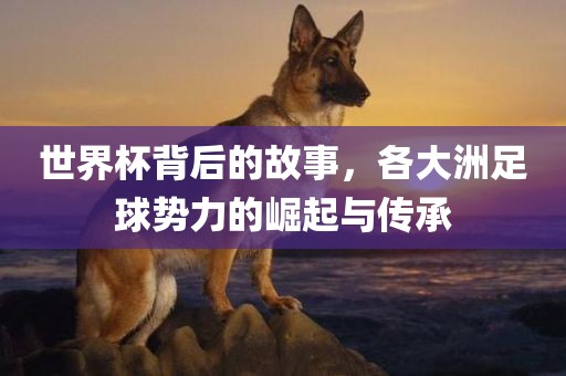 世界杯背后的故事，各大洲足球势力的崛起与传承金炬实业股份有限公司