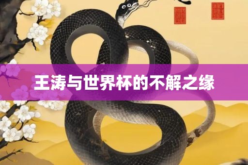 王涛与世界杯的不解之缘金炬实业股份有限公司