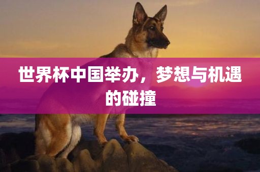 世界杯中国举办，梦想与机遇的碰撞金炬实业股份有限公司