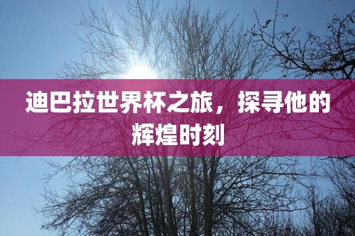 金炬实业股份有限公司迪巴拉世界杯之旅，探寻他的辉煌时刻