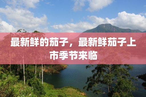 足球世界杯规则详解，从小组赛到决赛的全过程金炬实业股份有限公司