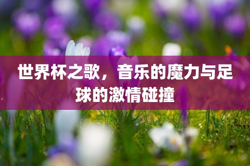 世界杯之歌，音乐的魔力与足球的激情碰撞