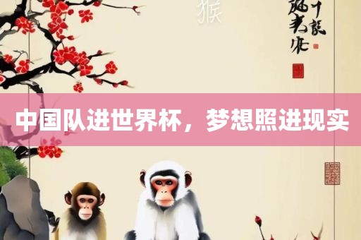 中国队进世界杯，金炬实业股份有限公司梦想照进现实