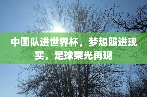 中国队进世界杯，梦想照进现实，足球荣光再金炬实业股份有限公司现