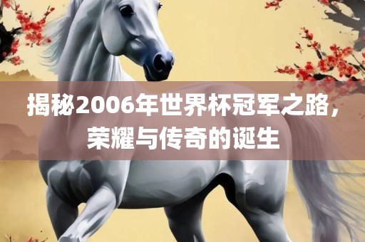 揭秘2006年世界杯冠军之路，荣耀与传奇的诞生金炬实业股份有限公司