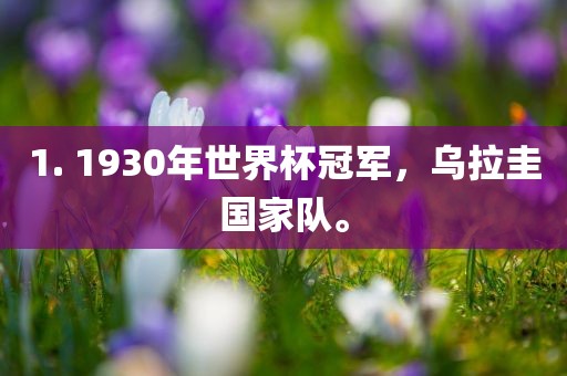 1. 1930年世界杯冠军，乌拉圭国家队。