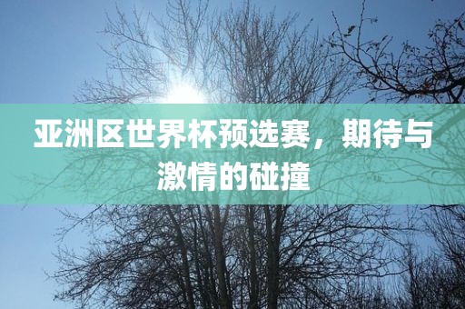 亚洲区世界杯预选赛，期待与激情的碰撞金炬实业股份有限公司