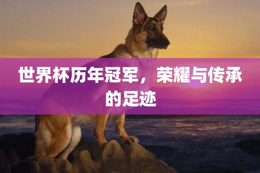 世界杯历年冠军，荣耀与传承的足迹金炬实业股份有限公司