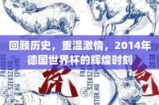 回顾历史，重温激情，2014年德金炬实业股份有限公司国世界杯的辉煌时刻