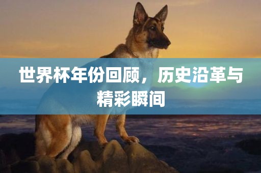 世界杯年份回顾，历史沿革与精彩瞬间金炬实业股份有限公司