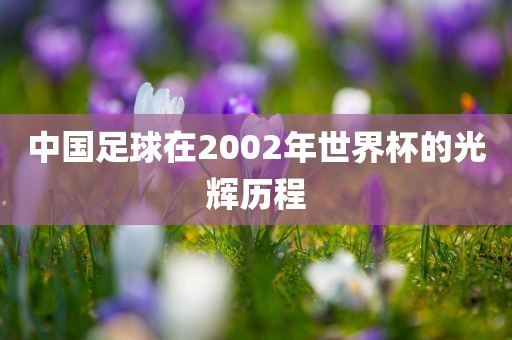 中国足球在2002年世界杯金炬实业股份有限公司的光辉历程