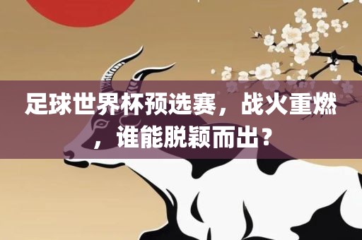 足球世界杯预选赛，战火重燃金炬实业股份有限公司，谁能脱颖而出？